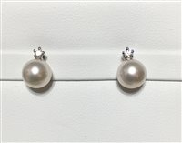 Orecchini Nimei Donna Perle Akoya in Oro bianco Perla PER2413 - PER2413